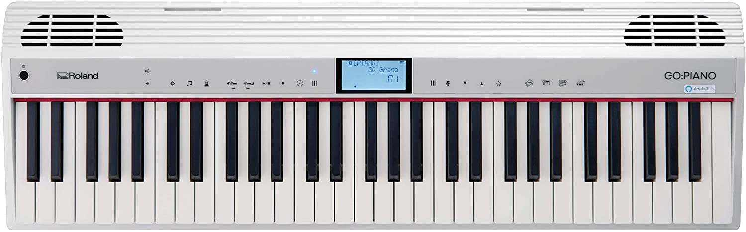 Roland GO-61P-A