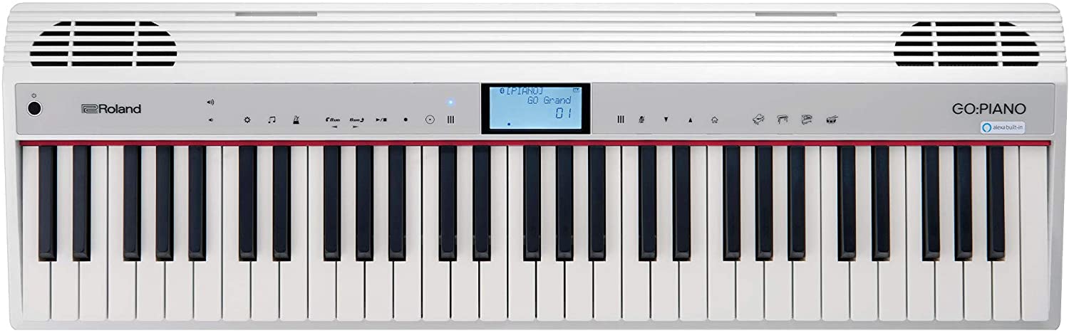 Roland GO-61P-A