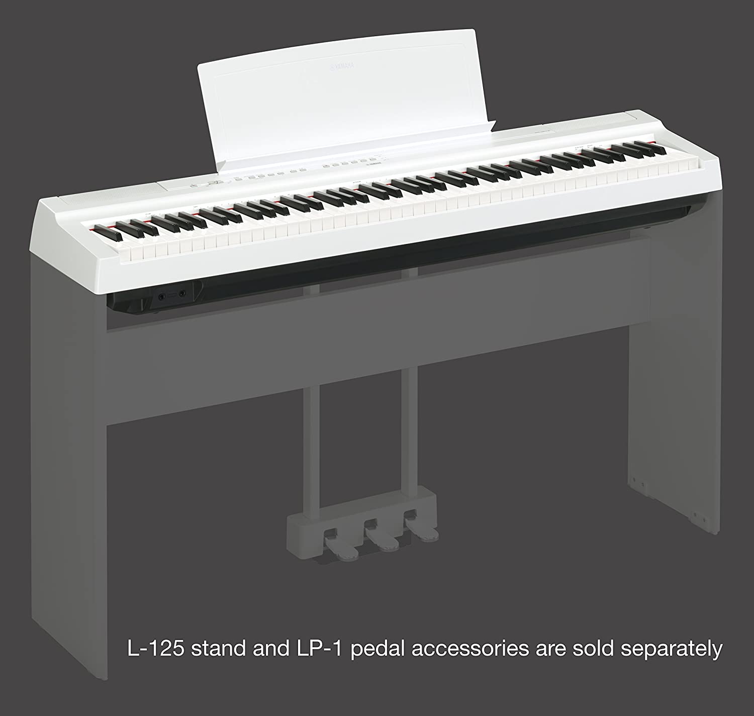 10 Best White Digital Pianos Selection (May 2021)