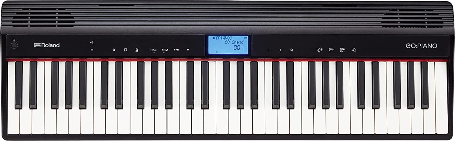 Roland GO-61P